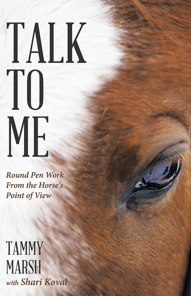 Talk To Me: Round Pen Work From the Horse's Point of View
