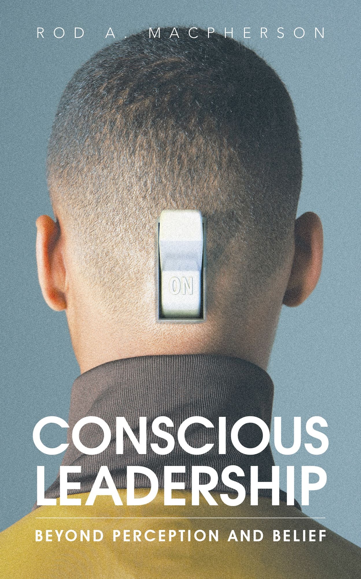 Conscious Leadership: Beyond Perception and Belief