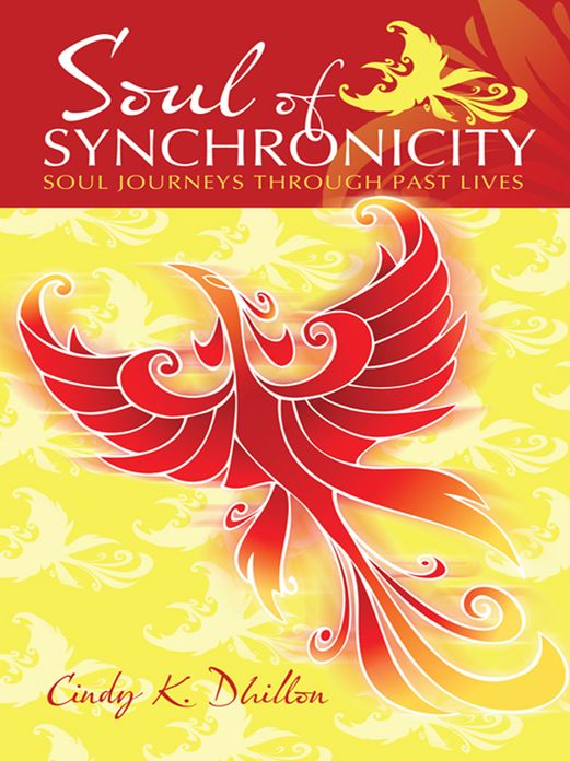Soul of Synchronicity: Soul Journeys Through Past Lives