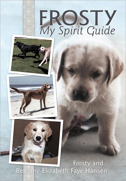 Frosty My Spirit Guide: How Changing Our Perceptions of Death Can Bring Us More Love, Joy, Happiness and Life!