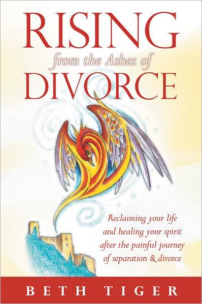 Rising from the Ashes of Divorce: Book one in the Flying Solo Series