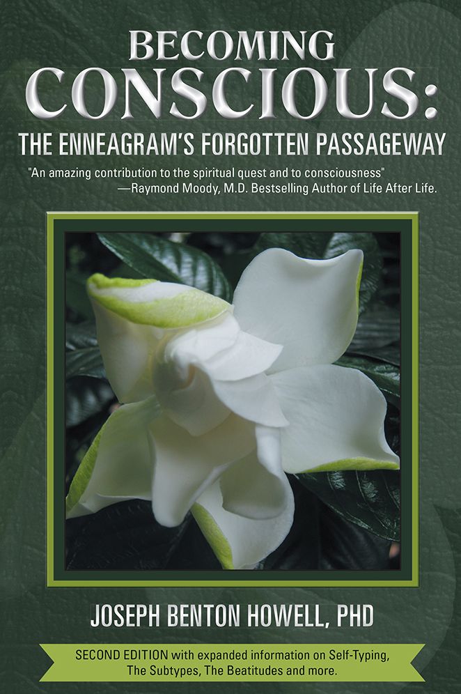 Becoming Conscious:: The Enneagram's Forgotten Passageway