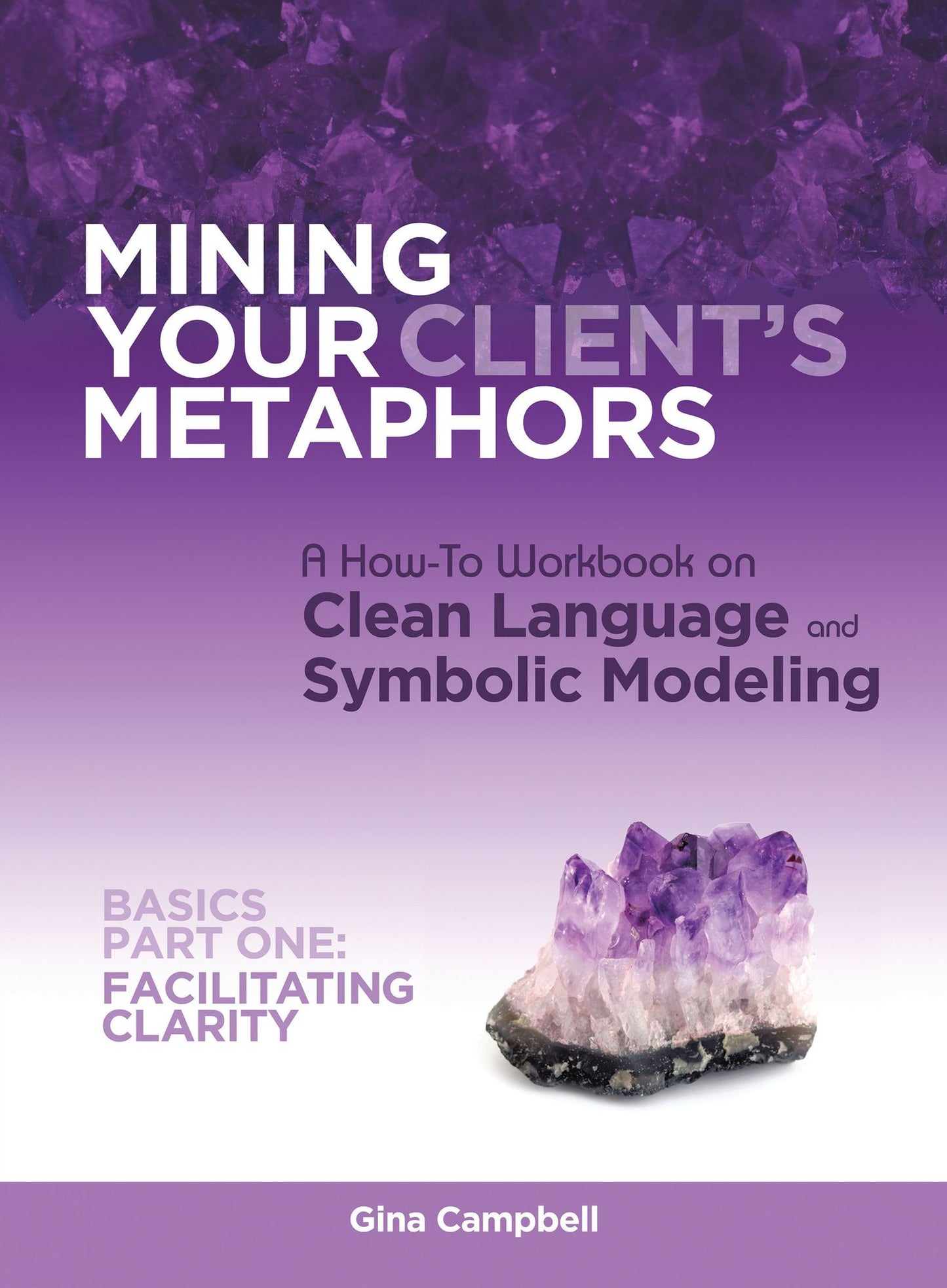 Mining Your Client's Metaphors: A How-To Workbook on Clean Language and Symbolic Modeling, Basics Part I: Facilitating Clarity