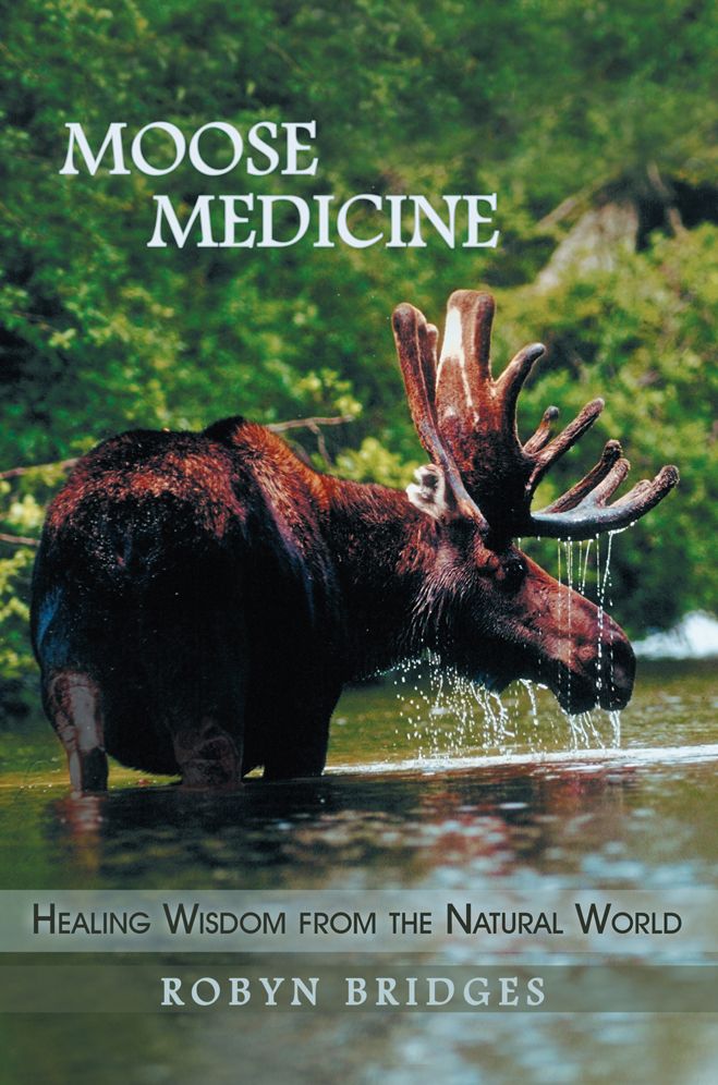 Moose Medicine: Healing Wisdom from the Natural World