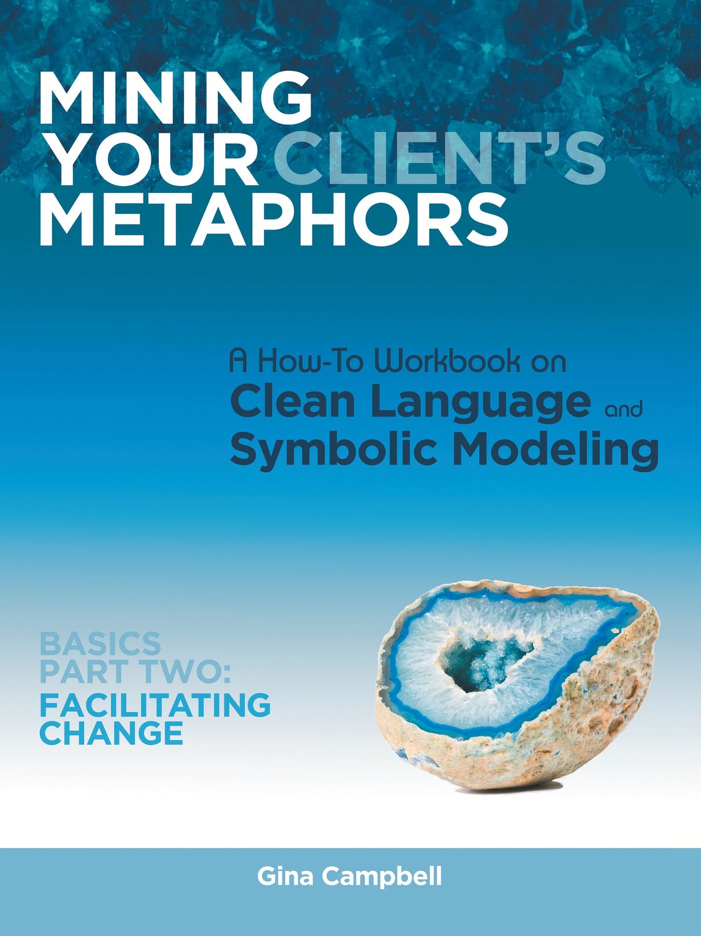 Mining Your Client's Metaphors: A How-To Workbook on Clean Language and Symbolic Modeling, Basics Part II: Facilitating Change