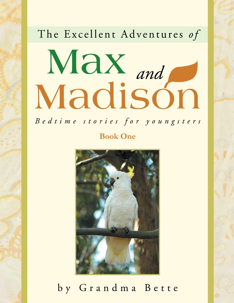 The Excellent Adventures of Max and Madison: Bedtime stories for youngsters