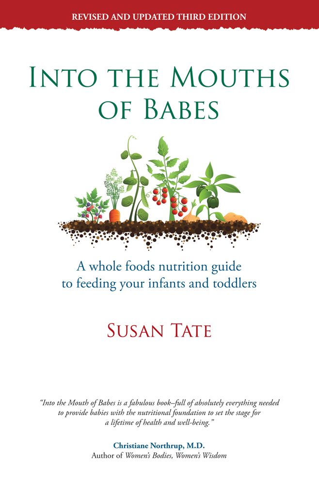 Into the Mouths of Babes: A whole foods nutrition guide to feeding your infants and toddlers