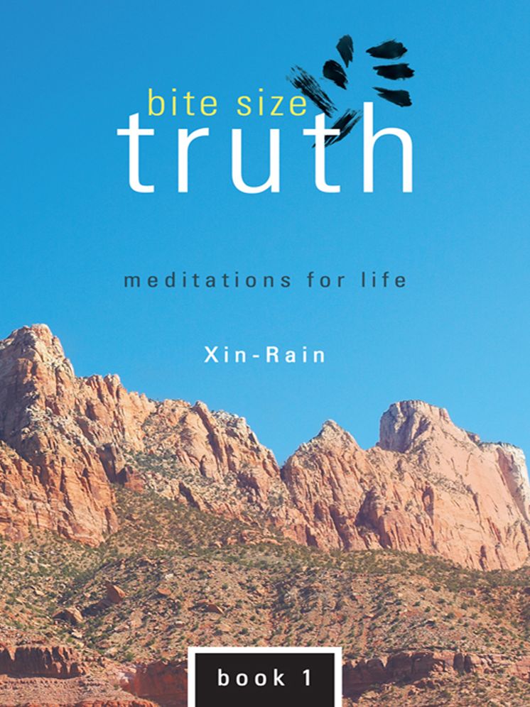 bite size truth: meditations for life book 1