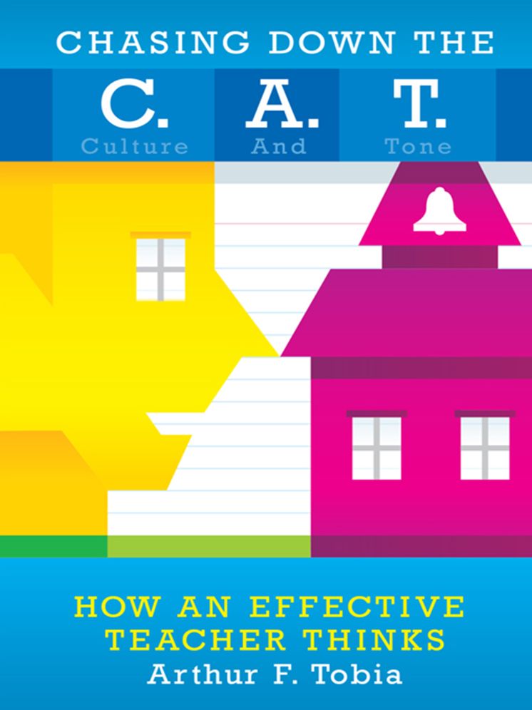 Chasing Down The C. A. T.: Creating Culture and Tone in classrooms to support behavior and improve student achievement How effective teachers think