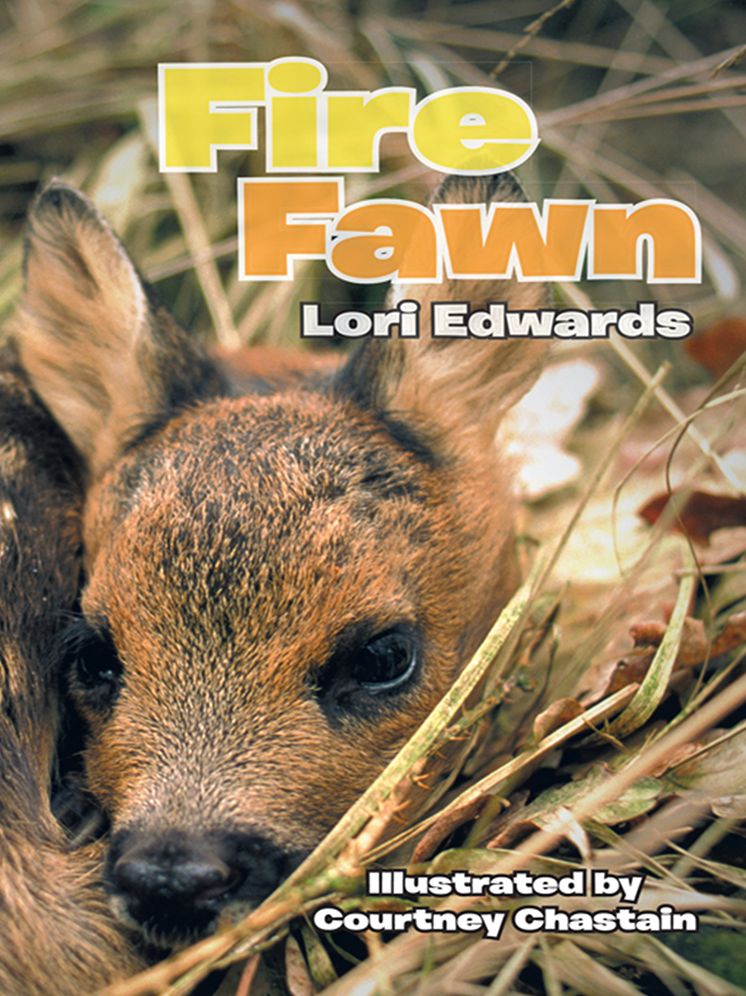 Fire Fawn
