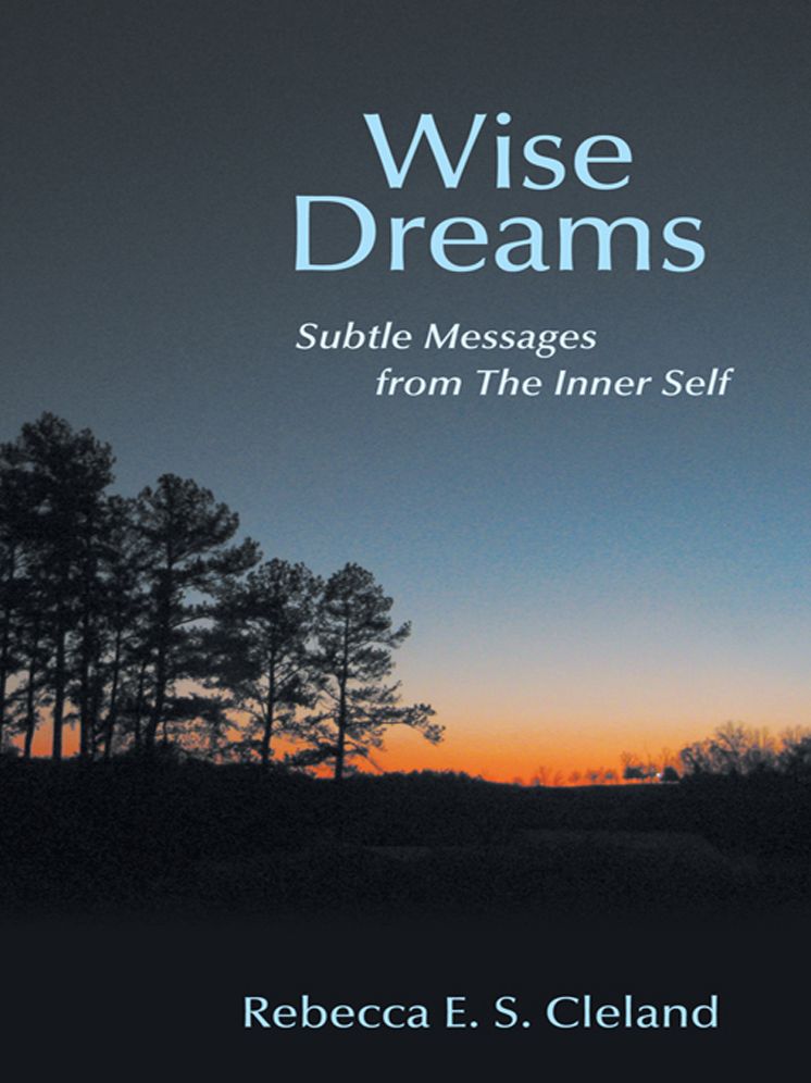 Wise Dreams: Subtle Messages from The Inner Self