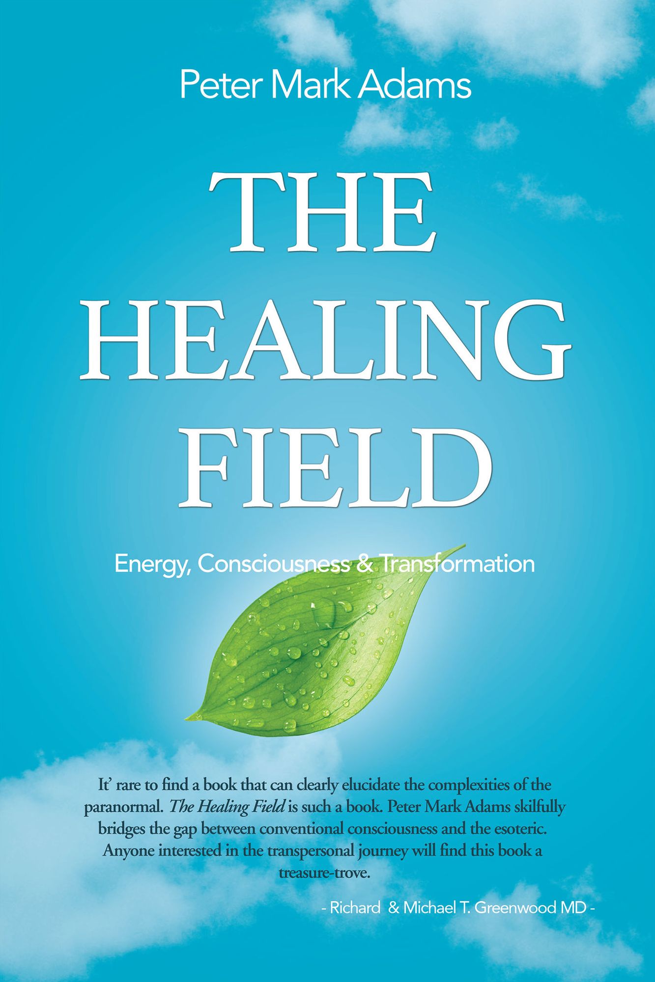 The Healing Field: Energy, Consciousness and Transformation