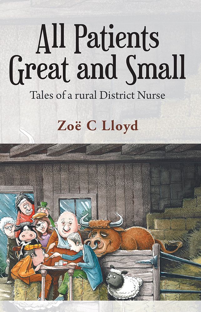 All Patients Great and Small: Tales of a rural District Nurse
