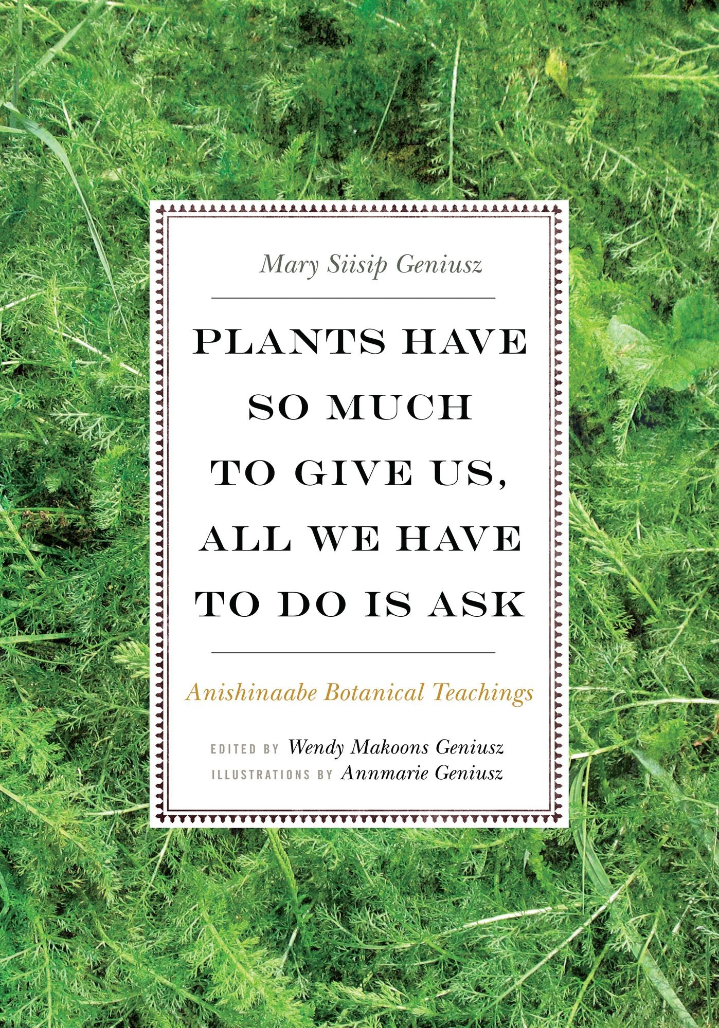 Plants Have So Much to Give Us, All We Have to Do Is Ask: Anishinaabe Botanical Teachings