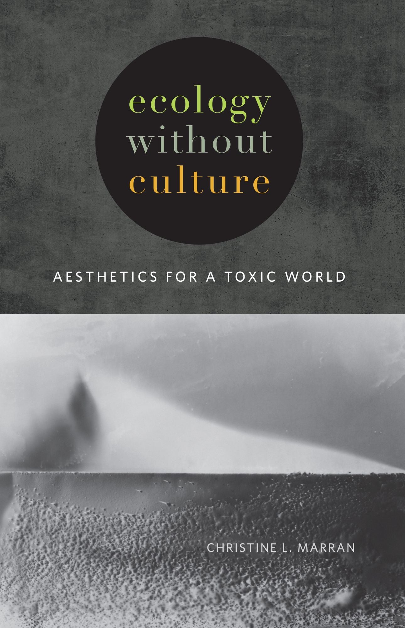 Ecology without Culture: Aesthetics for a Toxic World