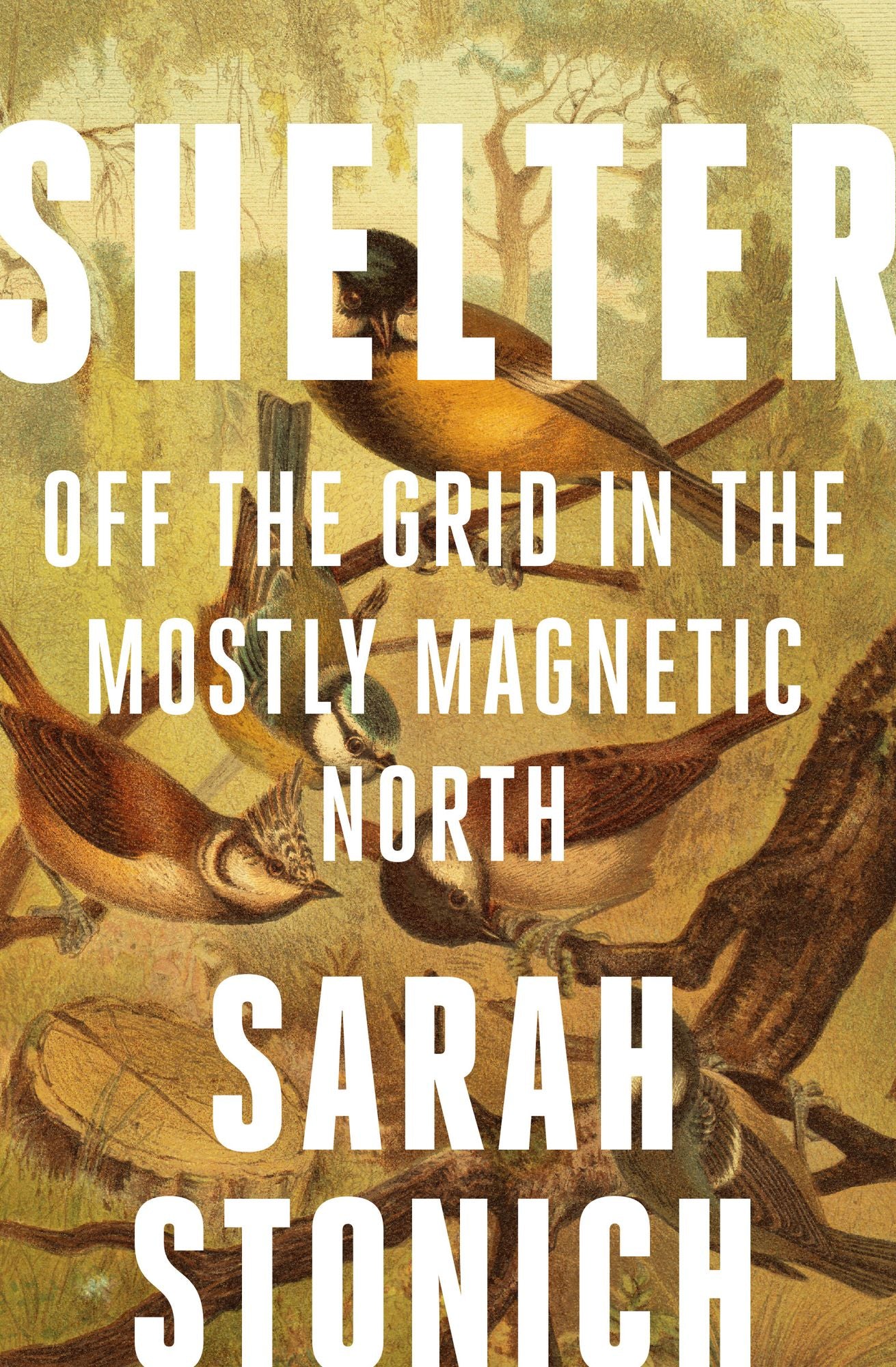 Shelter: Off the Grid in the Mostly Magnetic North