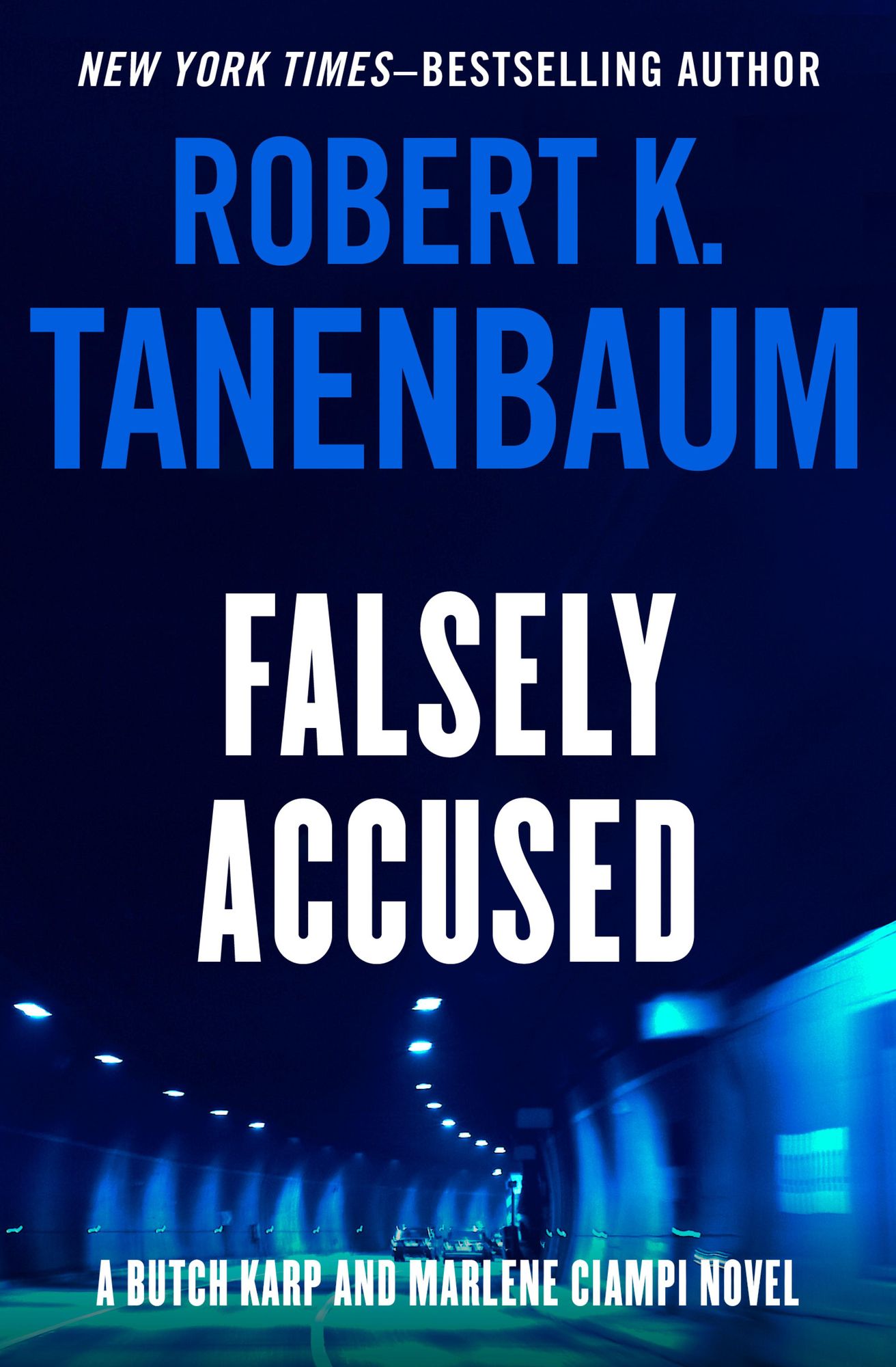 Falsely Accused (Butch Karp Series #8)