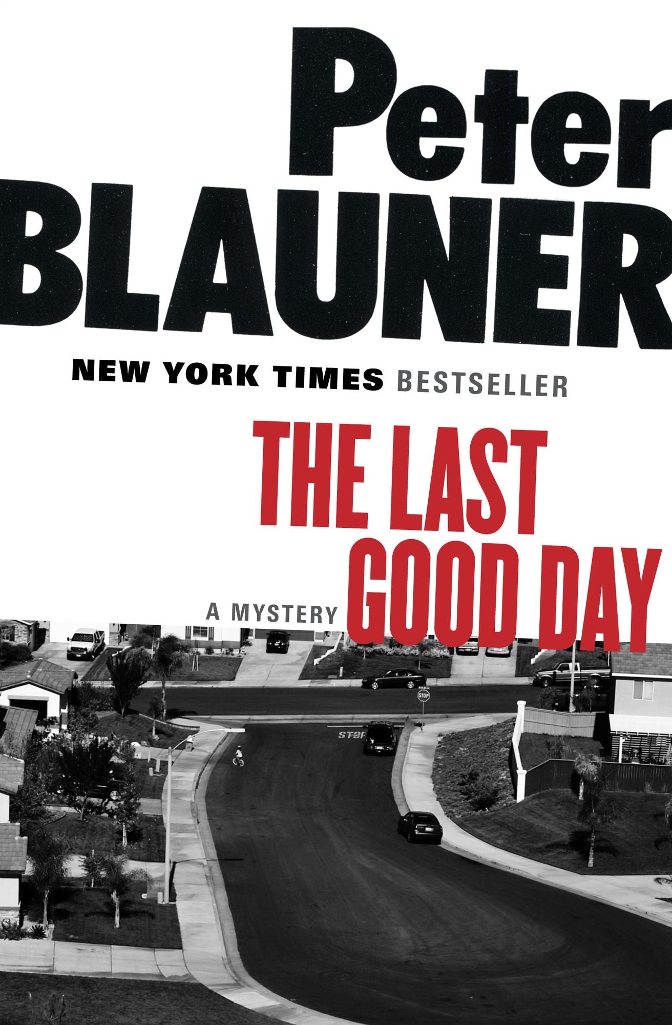 The Last Good Day: A Mystery