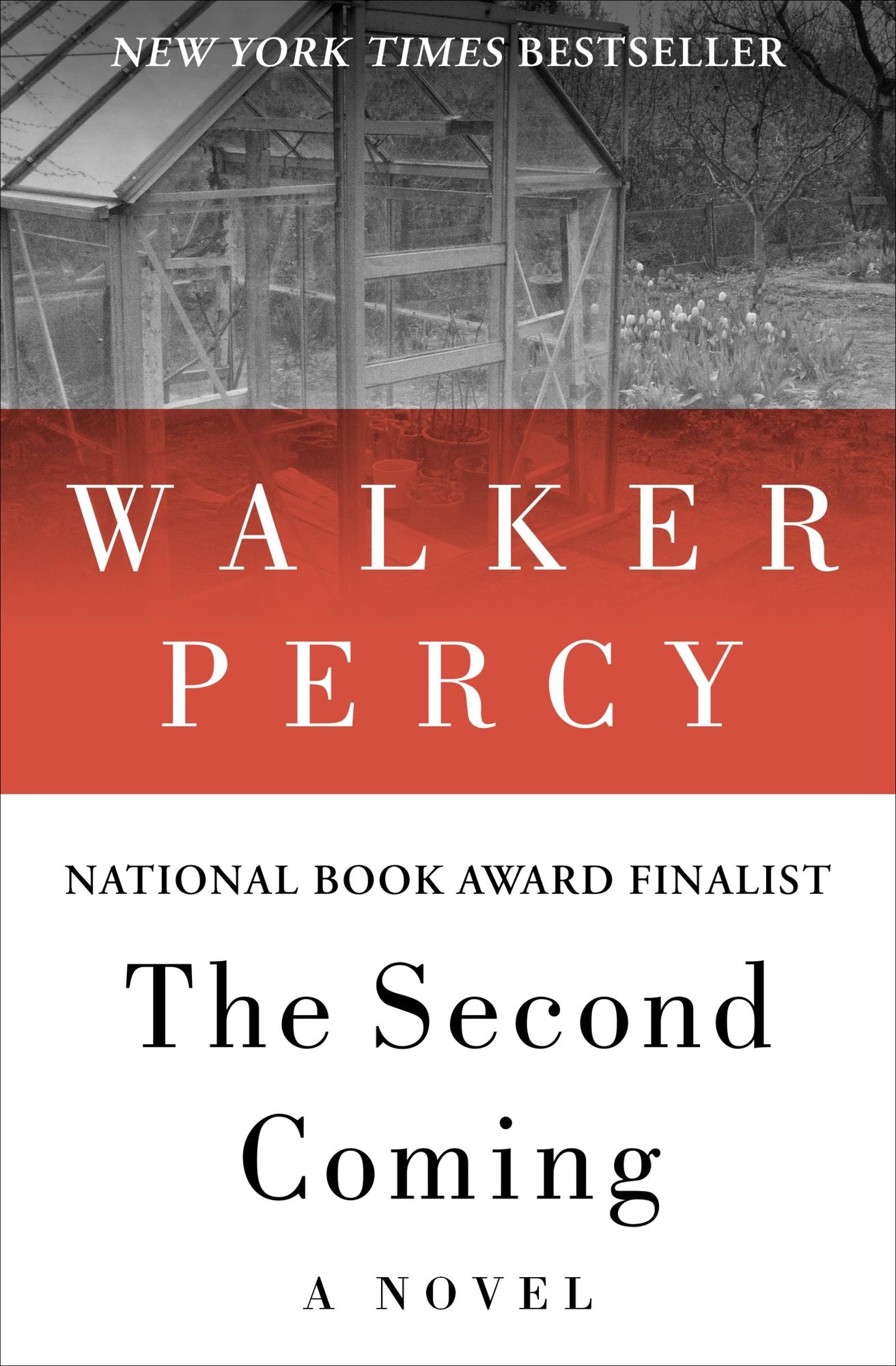 The Second Coming: A Novel