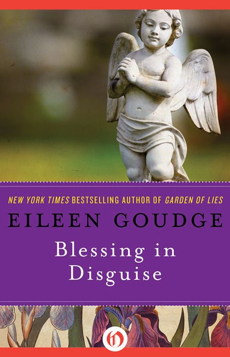 Blessing in Disguise