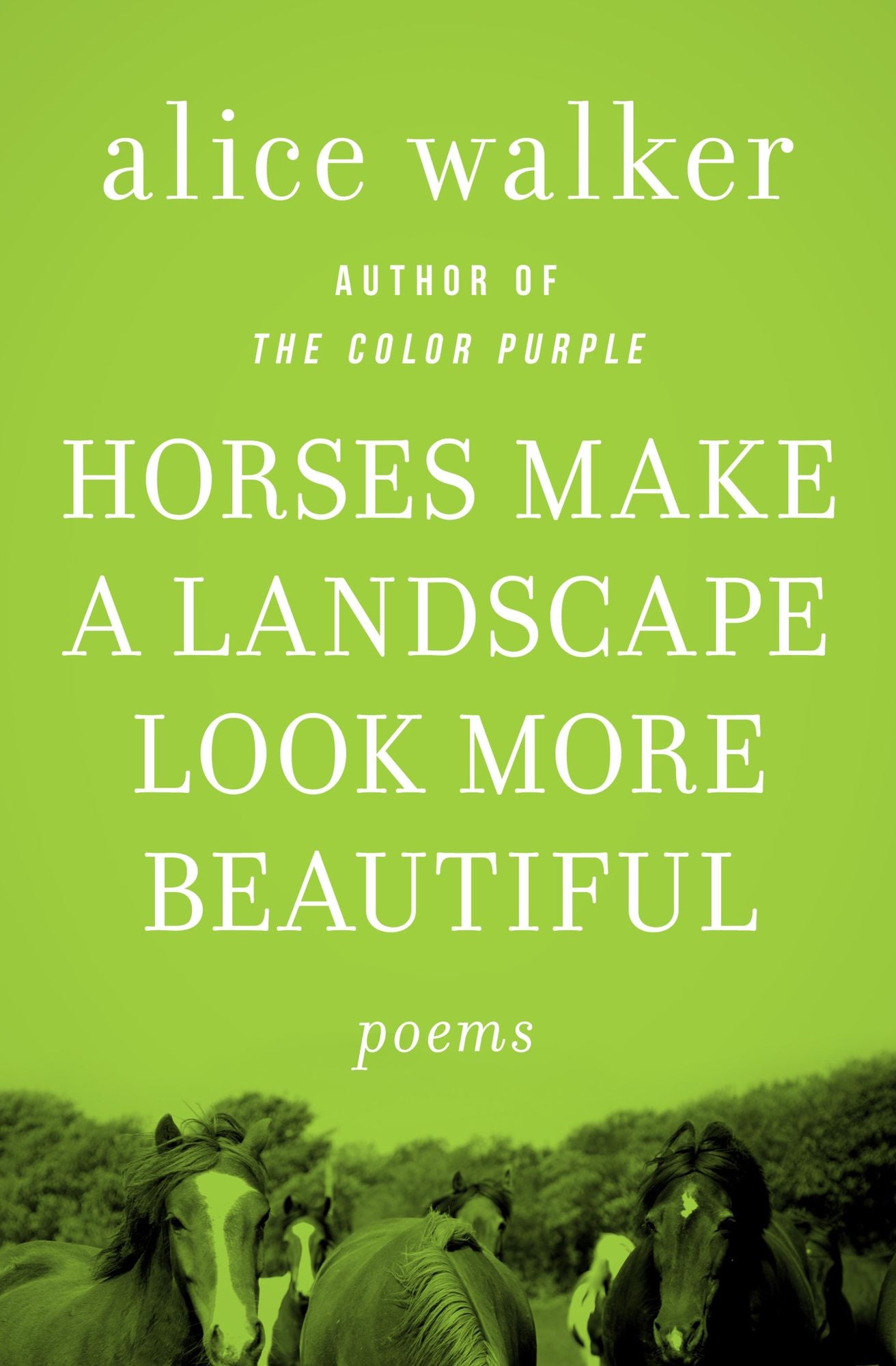 Horses Make a Landscape Look More Beautiful: Poems