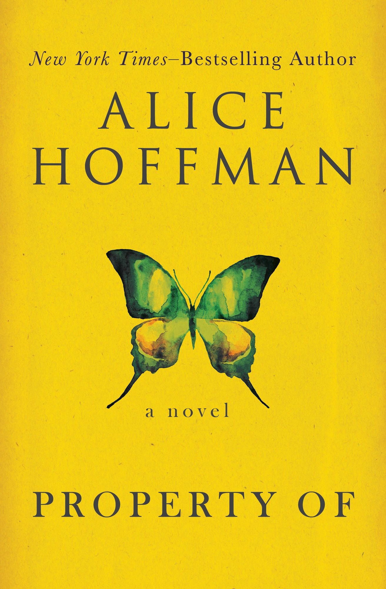 Property Of: A Novel