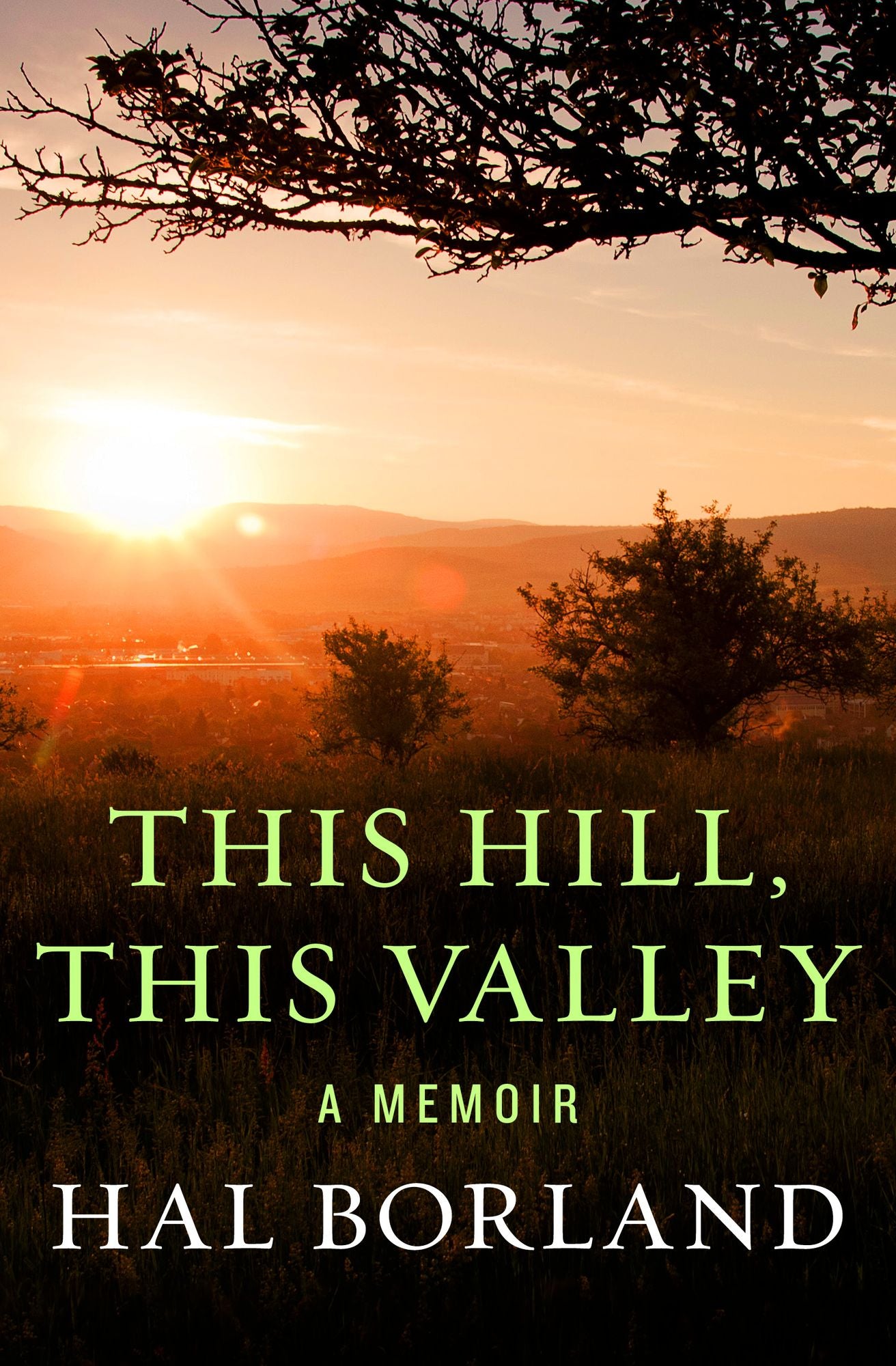 This Hill, This Valley