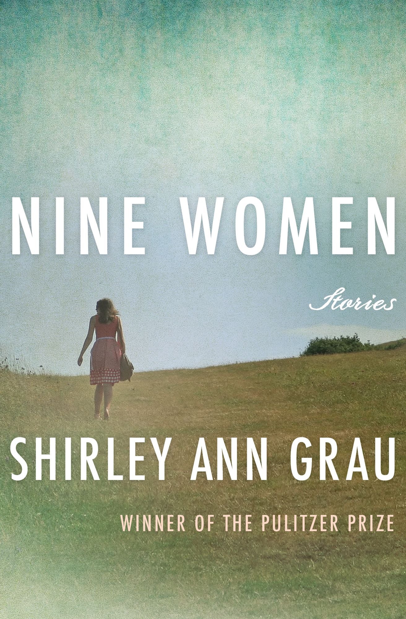 Nine Women: Stories