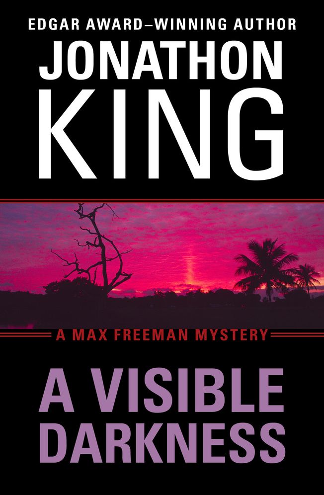 A Visible Darkness: A Max Freeman Mystery (Book Two)