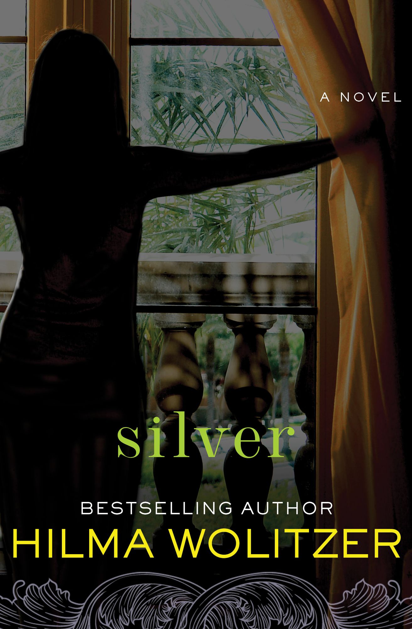 Silver: A Novel