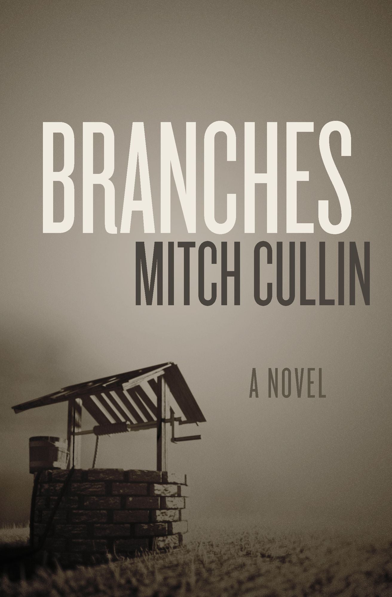 Branches: A Novel