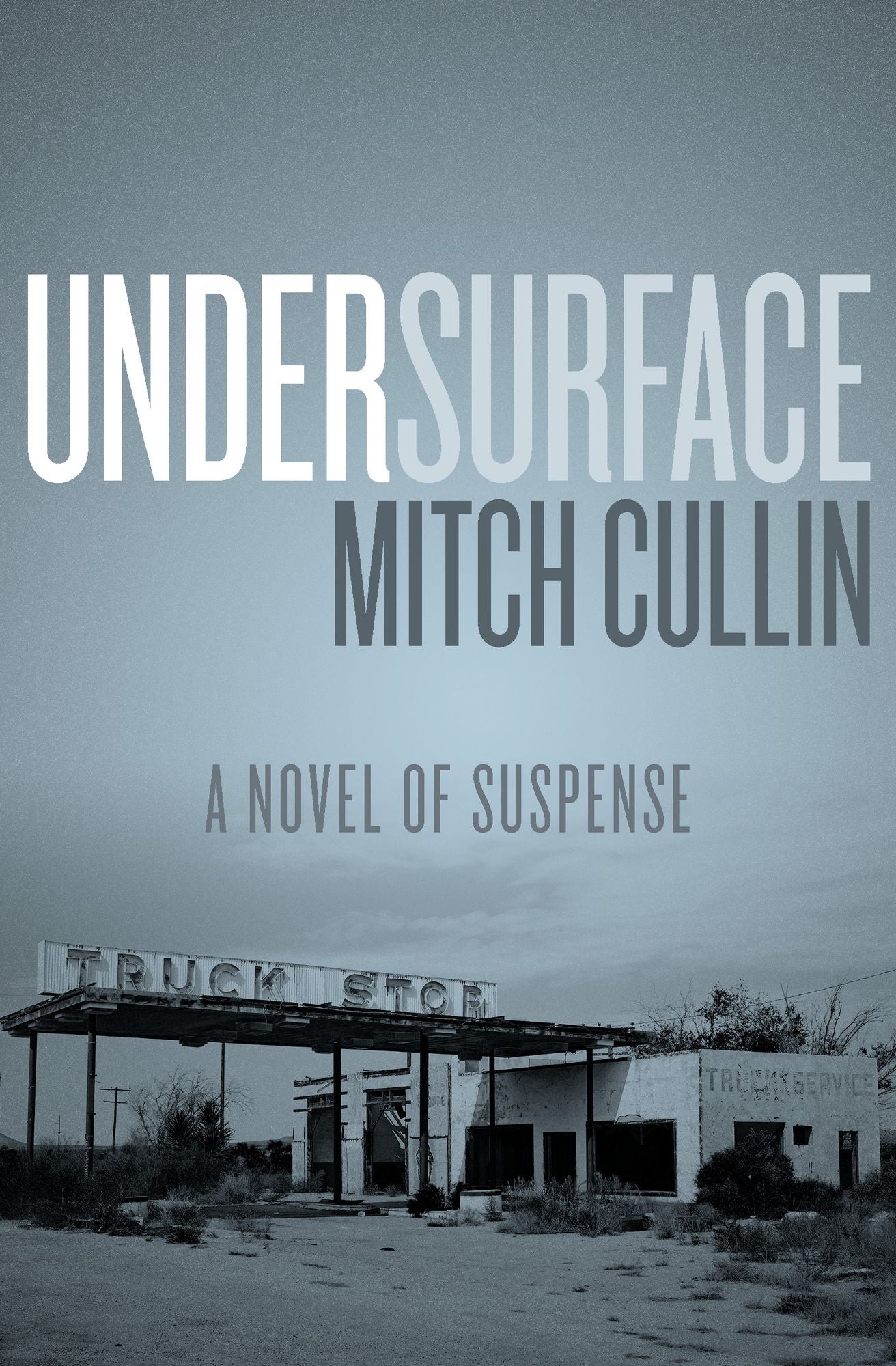 UnderSurface: A Novel of Suspense