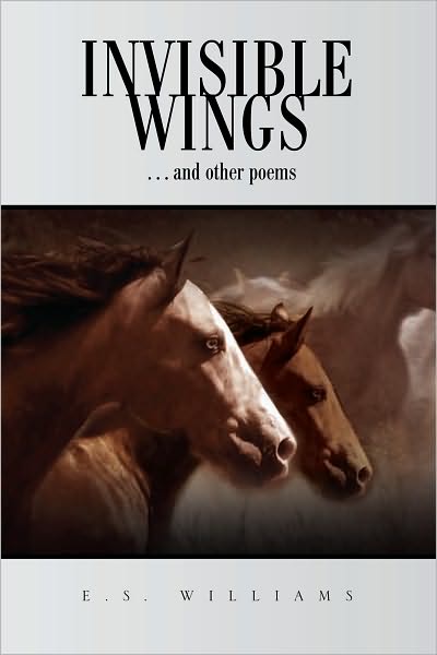 Invisible Wings