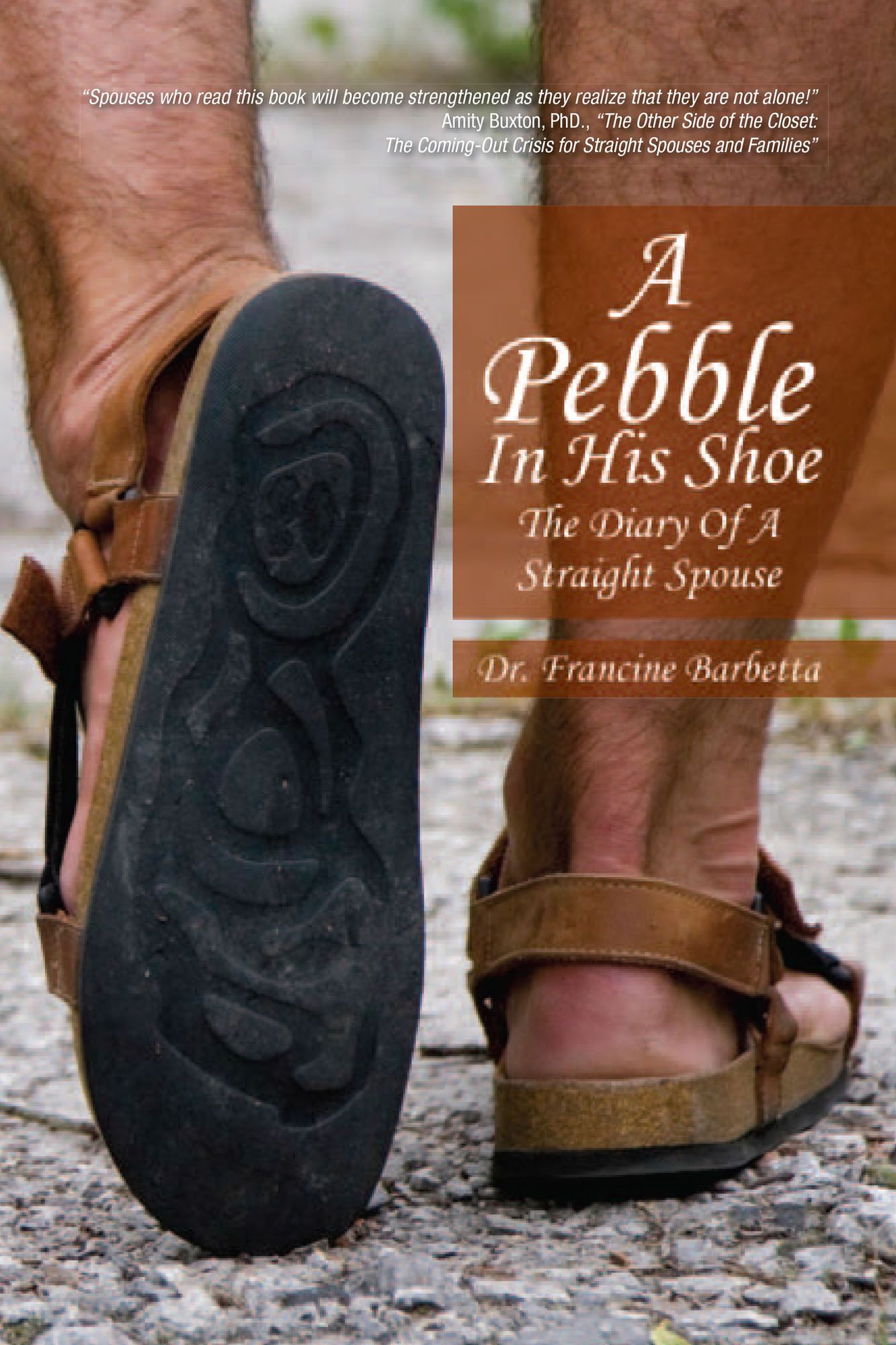 A Pebble In His Shoe: The Diary Of A Straight Spouse