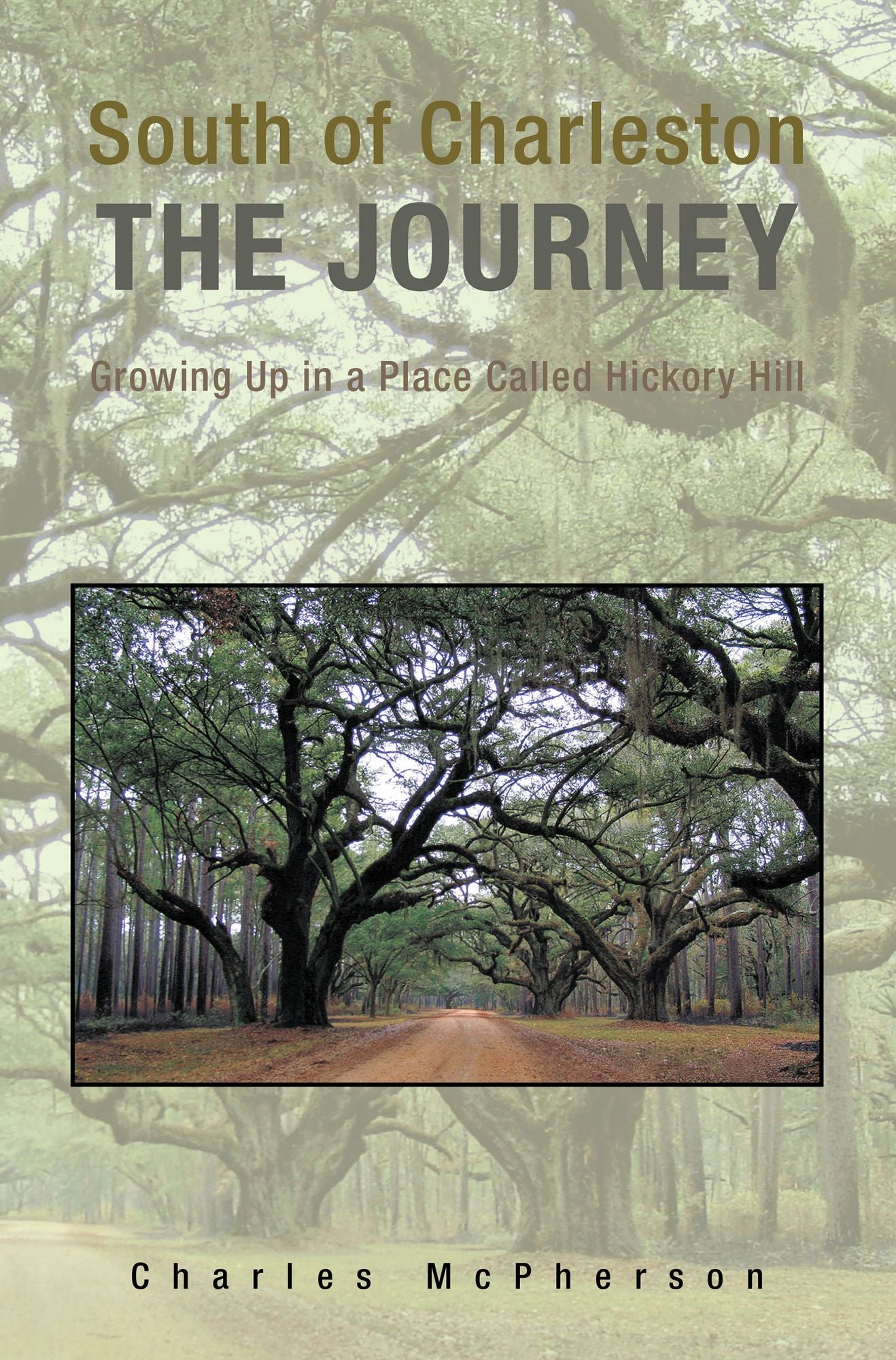 South of Charleston The Journey: Growing Up in a Place Called Hickory Hill