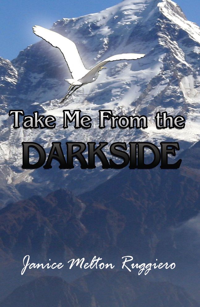 Take Me From the Darkside