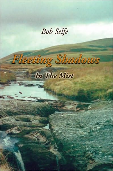 Fleeting Shadows: In The Mist