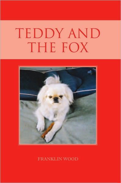 Teddy and the Fox