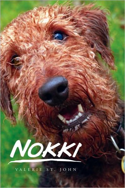NOKKI