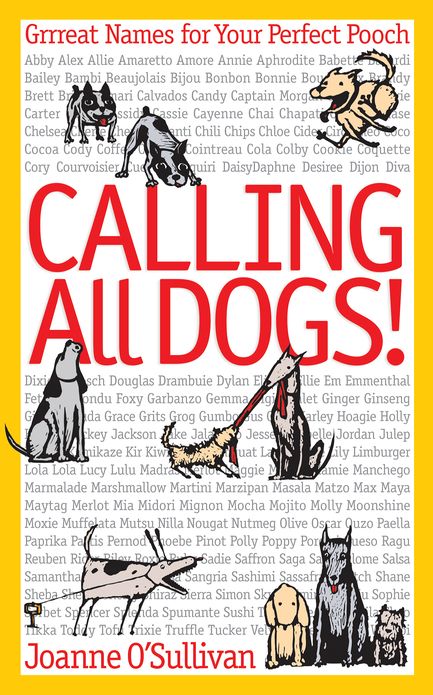 Calling All Dogs!: Grrreat Names for Your Perfect Pooch (PagePerfect NOOK Book)