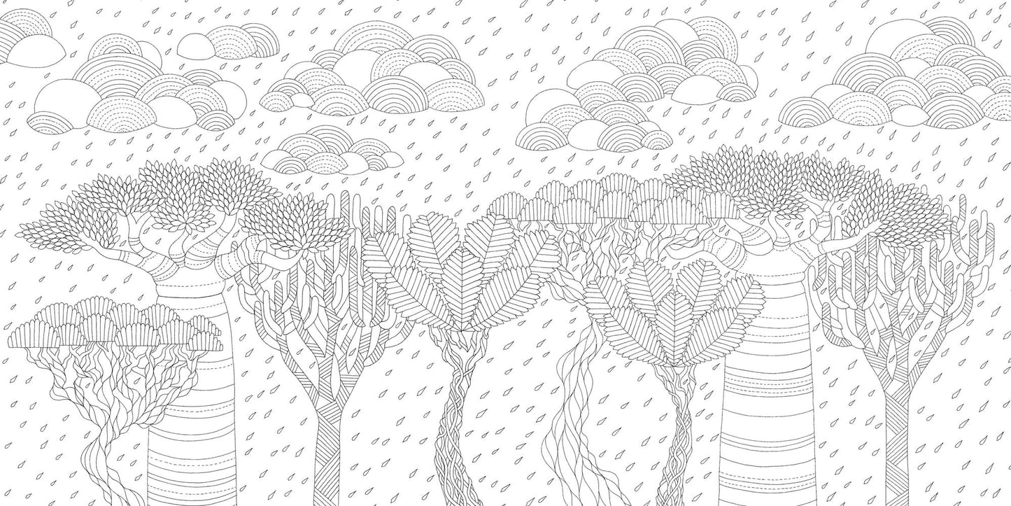 Wild Savannah: A Coloring Book Adventure