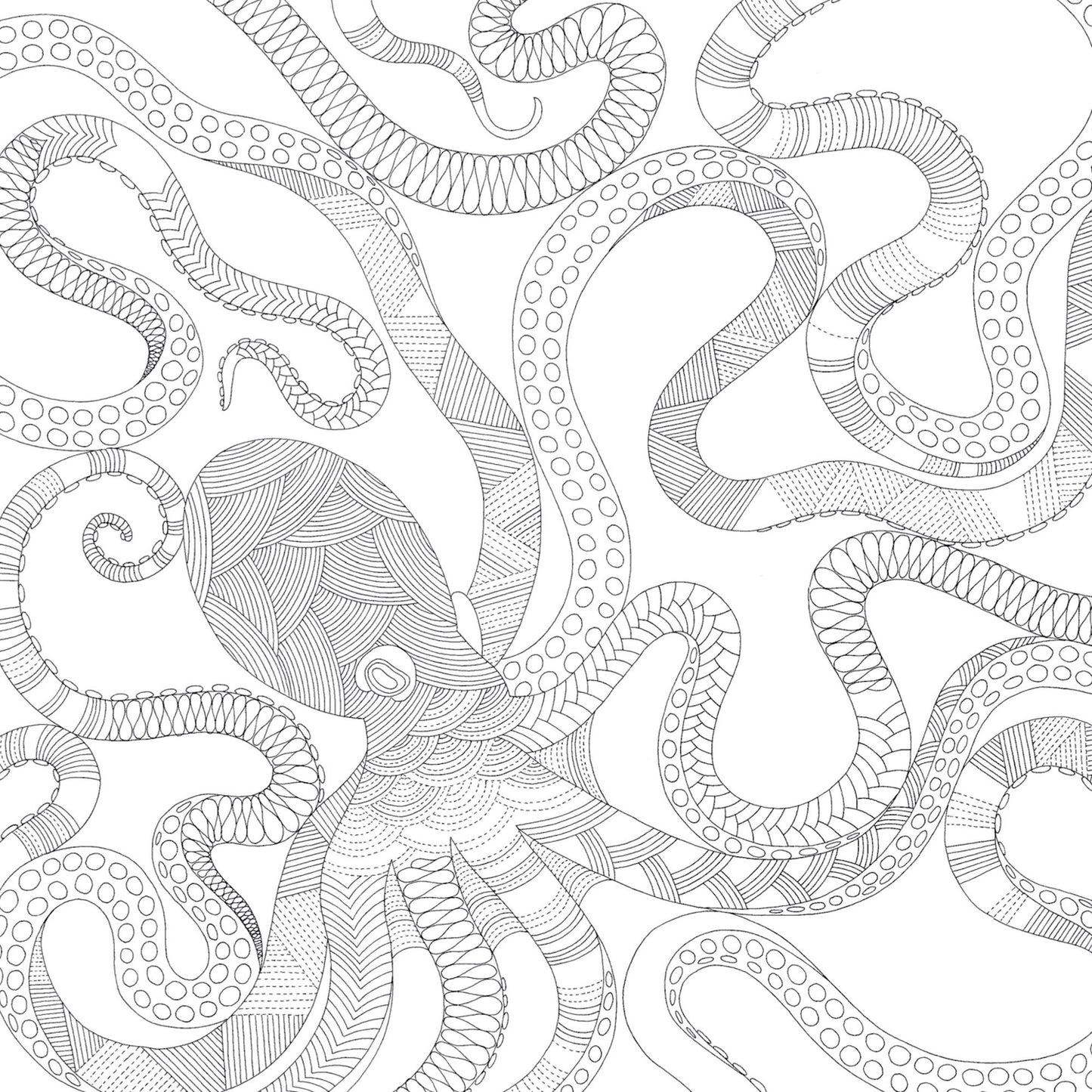 Animal Kingdom: Color Me, Draw Me