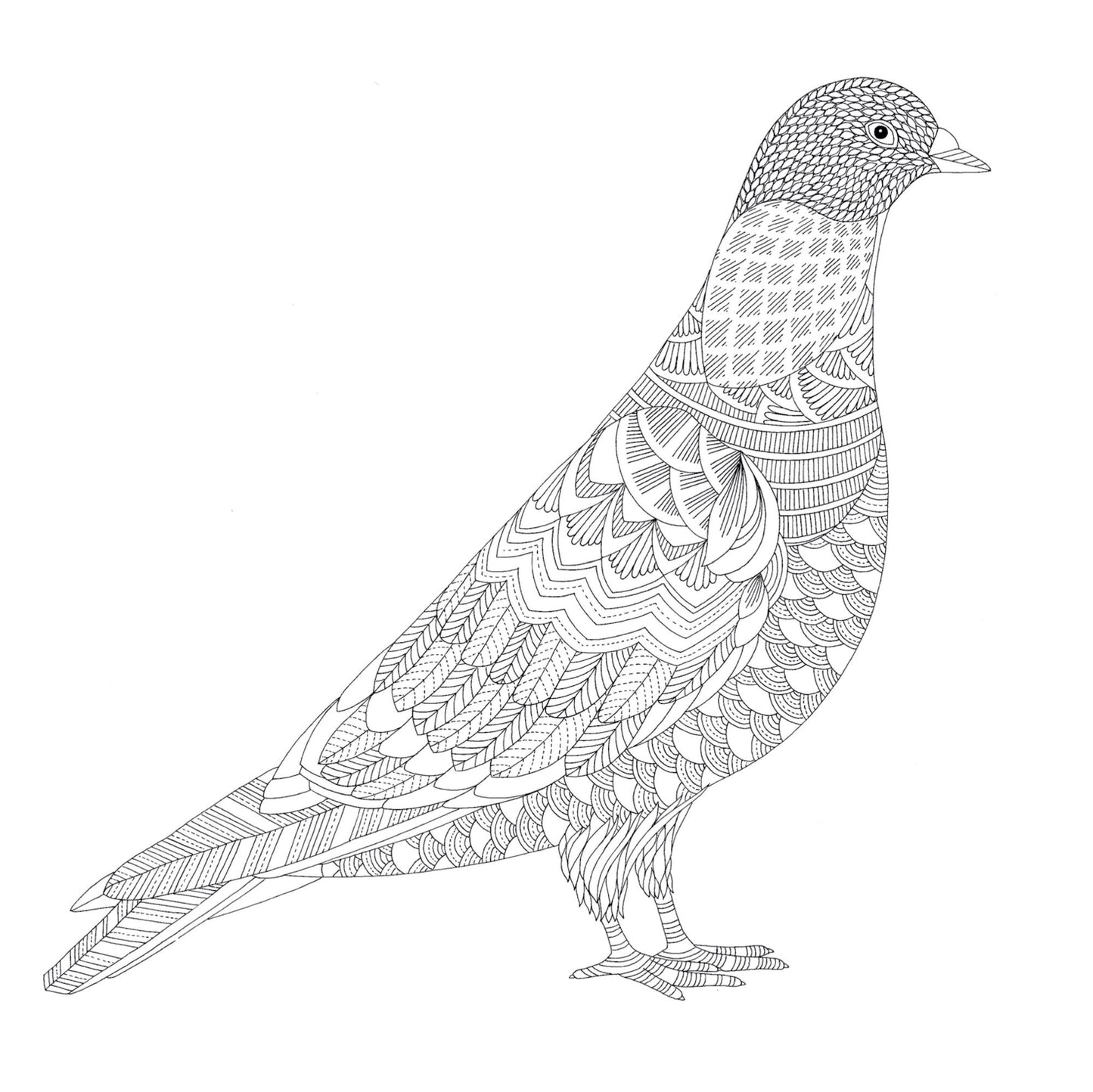 Animal Kingdom: Color Me, Draw Me