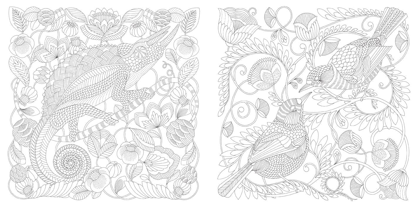 Animal Kingdom: Color Me, Draw Me