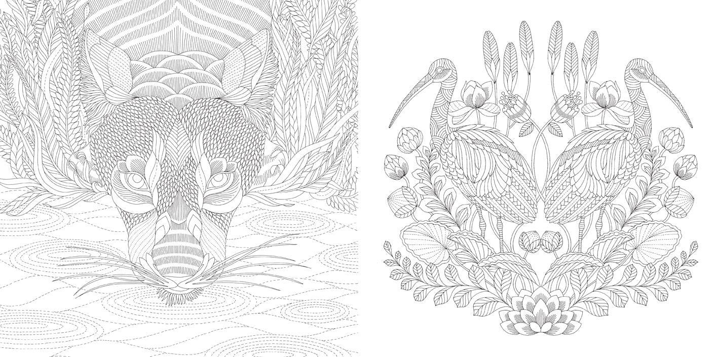 Animal Kingdom: Color Me, Draw Me