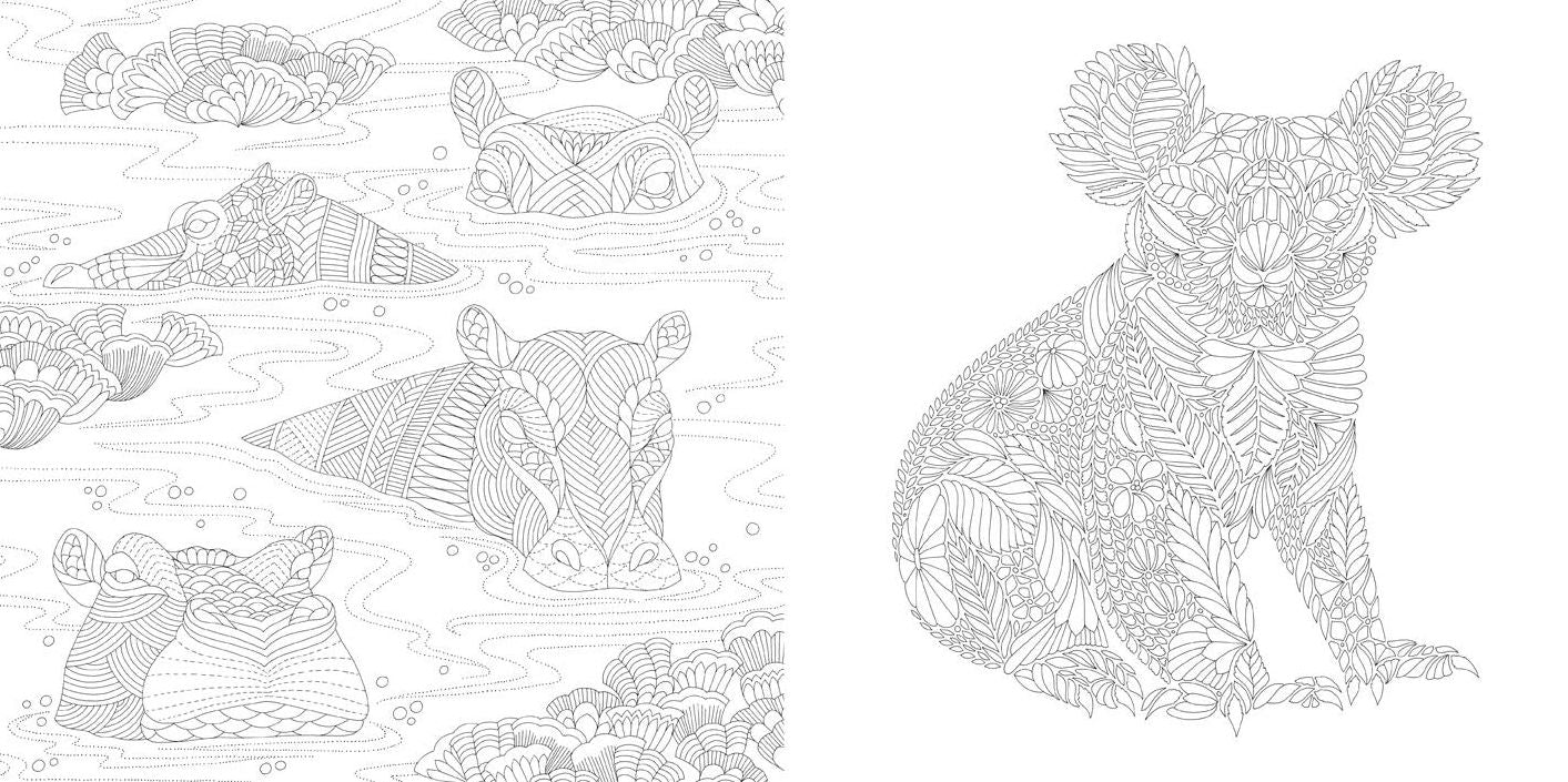 Animal Kingdom: Color Me, Draw Me