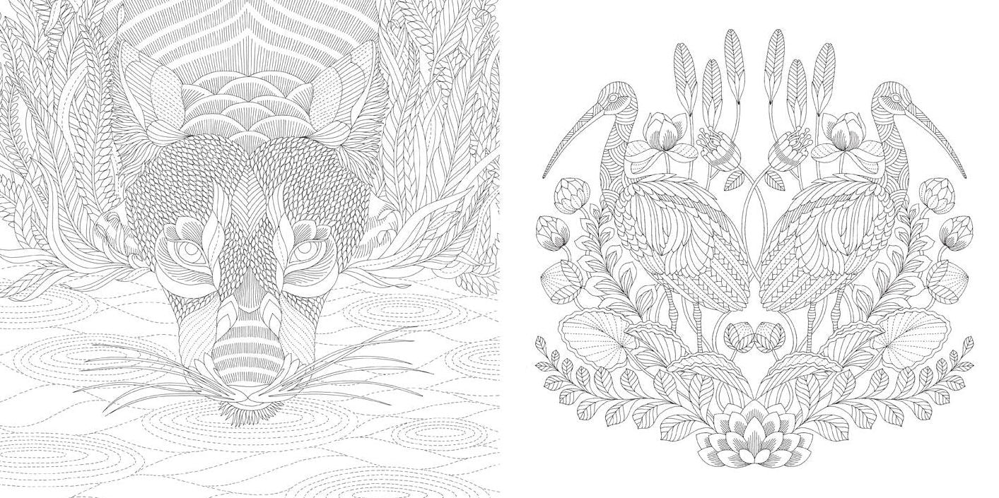 Animal Kingdom: Color Me, Draw Me