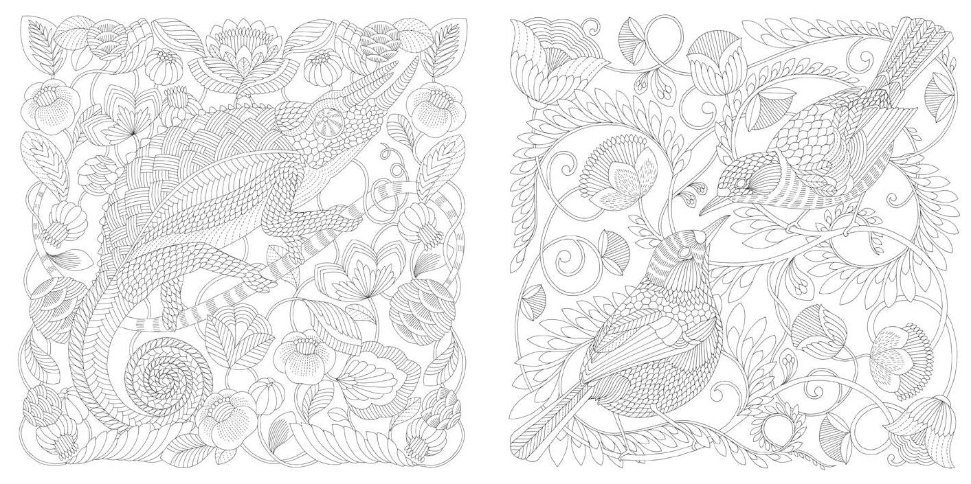 Animal Kingdom: Color Me, Draw Me
