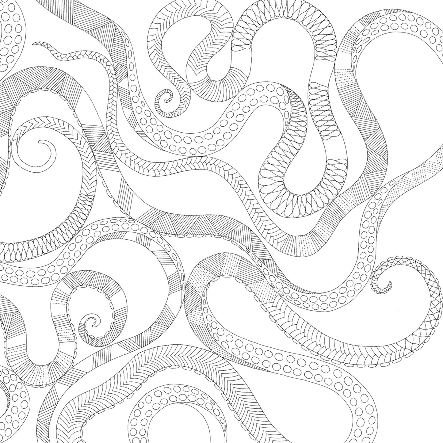 Animal Kingdom: Color Me, Draw Me