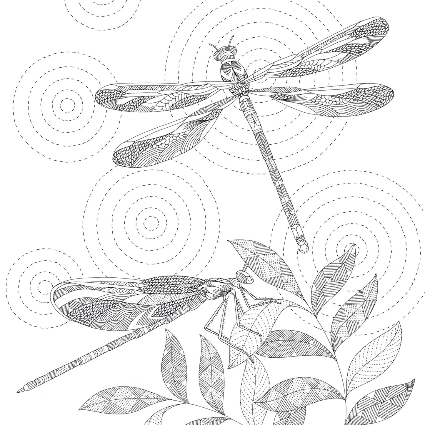 Animal Kingdom: Color Me, Draw Me